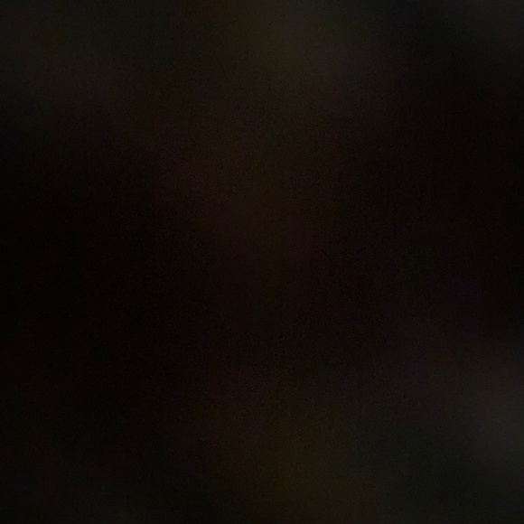 Meet your Posher, Noah - Picture 1 of 1